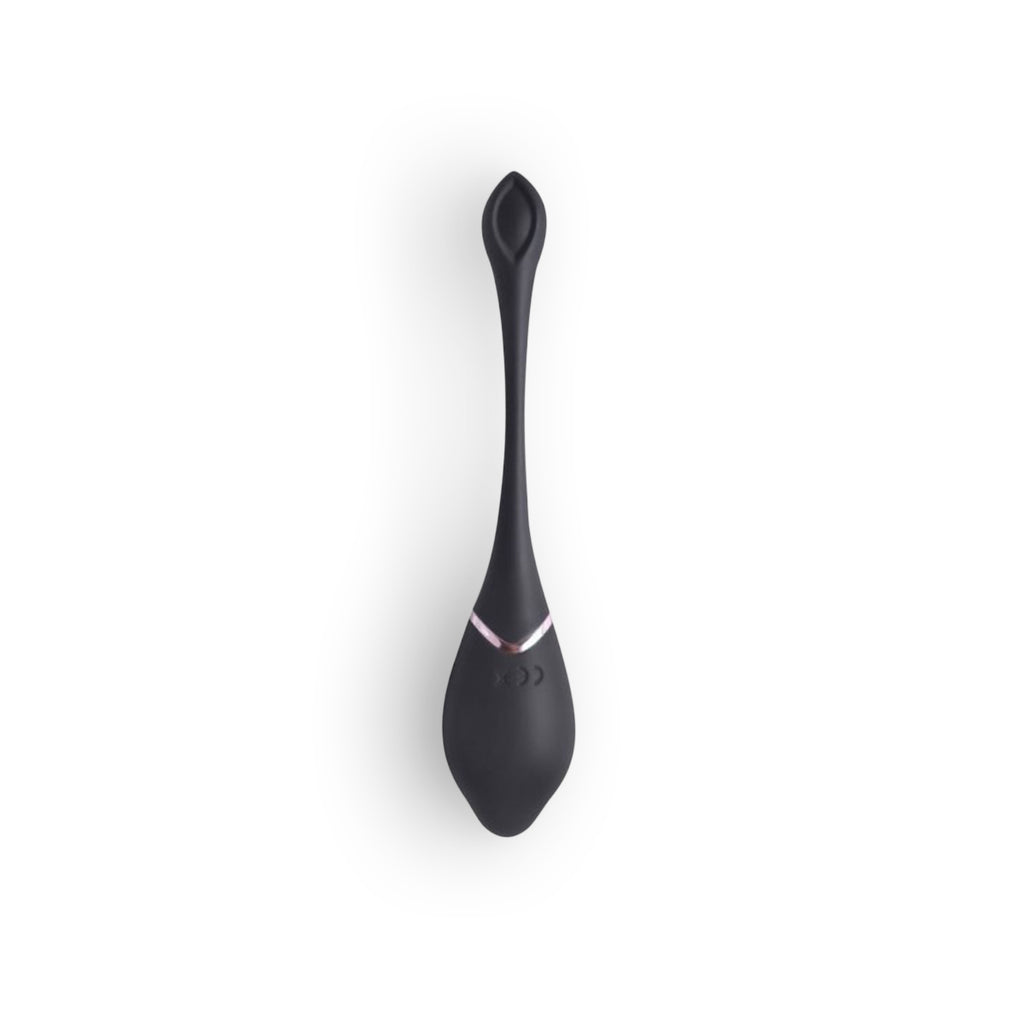 Ovo Vibratório Recarregável Com Comando Preto Toyz4Lovers