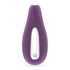 Vibrador Recarregável Com Comando Pleasuriser E Oferta De Lubrificante À Base De Água Crushious