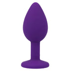 Plug Anal Shelki S Intense Roxo