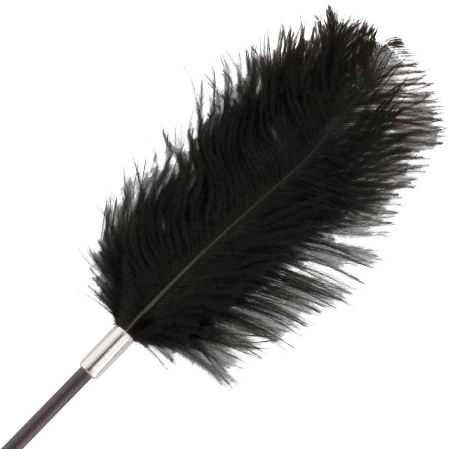 Chibata E Espanador Darkness Feather Crop. Black 56Cm
